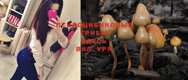 шишки Абдулино